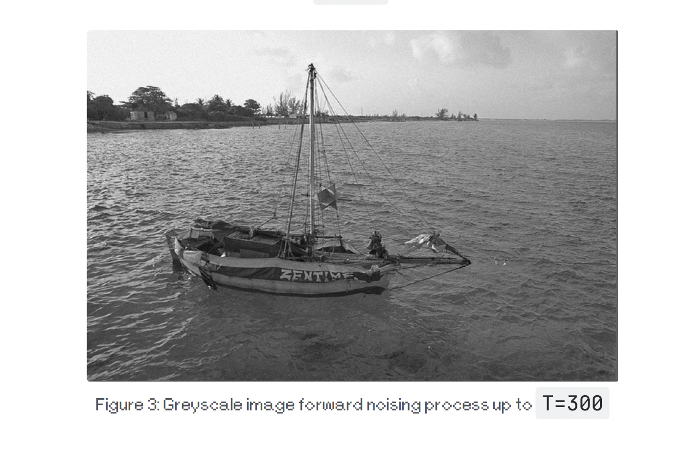Figure 3: Greyscale image forward noising process up to T=300